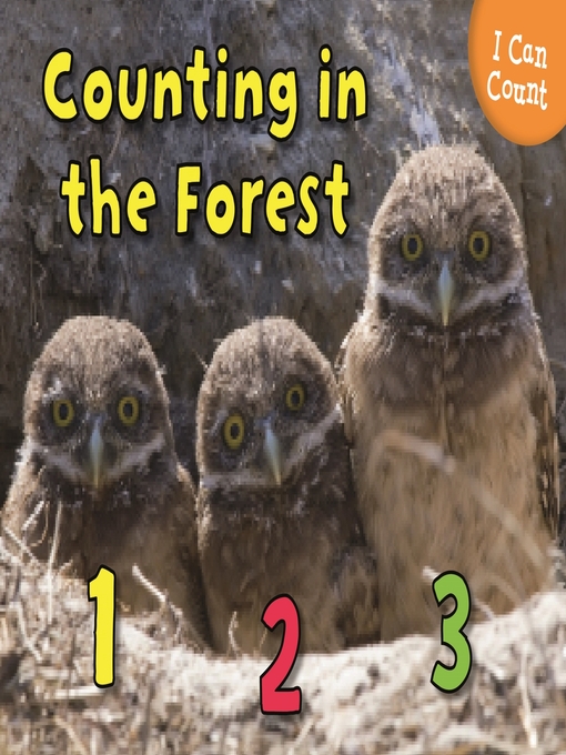 Title details for Counting in the Forest by Rebecca Rissman - Available